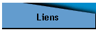 Liens